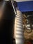 Nespresso Zenius & Cappucci­natore Milk Frother Machines Carousel 6