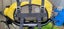 Loading Image 13 of 13