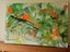212 Seaweed 860 mm x 600 mm Resin on MDF Board Carousel 1