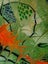 212 Seaweed 860 mm x 600 mm Resin on MDF Board Carousel 4