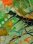 212 Seaweed 860 mm x 600 mm Resin on MDF Board Carousel 7
