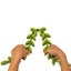 Loading Image 2 of 7