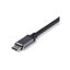Startech Usb C Multiport Adapter Hdmi Mdp 4K 60Hz Wired 100W Carousel 2