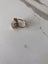 Antique ring Carousel 3
