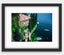 Bahamas Speed Week Nassau 1963 | Wall Art Photo | Framed Print 1/20 Carousel 5