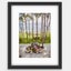 Bahamas Speed Week Nassau 1963 | Wall Art Photo | Framed Print 1/20 Carousel 9