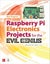 Raspberry Pi Electronics Projects for the Evil Genius by Donald Norris - Paperba Carousel 1
