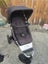Mountain Buggy Duo Carousel 3