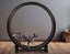 Gen 7 Cat Exercise Wheel & Replacement Parts One Fast Cat Unused & Assembled Carousel 7