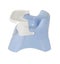 Toilet Training Potty Chair Carousel 3