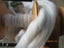 200gms "White" Corrie Fizz - Wool/Llama/Rayon Carousel 2