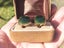 Vintage 9ct Gold & Greenstone Cuff Links - 10 Grams Carousel 7