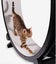 Gen 7 Cat Exercise Wheel & Replacement Parts One Fast Cat Unused & Assembled Carousel 6