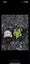 Loading Image 2 of 2