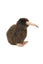 Loading Image 1 of 1