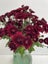 Chrysanthemum Maroon Spray Carousel 5