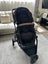 Edward’s & Co stroller Carousel 2