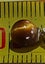 Tigerseye 6mm ball sterling silver stud earrings. Carousel 6