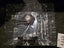 Fallout Eyebot Statue – Official Collectible Carousel 2