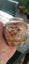 Glorious Chinese Ginger jar Carousel 2