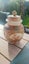 Glorious Chinese Ginger jar Carousel 4