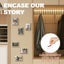 gallery view thumbnail