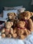 Robin Rive Vintage Teddy Bear Carousel 8