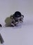 Gorgeous vintage sterling silver genuine sapphire earrings Carousel 4