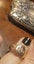 ROMANTIC 9CT Solid Gold HEART SHAPED~ SIGNET RING~BARGAIN Carousel 1