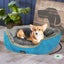 Pawz Electric Pet Warmer Bed Heated S Blue Small Carousel 7
