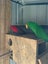 Loading Image 1 of 4