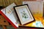 Chinese Hunan Gold Ball embroidery in frame / box / bag 35 x 45cm Carousel 1