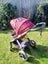 Mountain Buggy Cosmopolitan Carousel 3