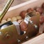 Macadamia Cracker Nutcracker A02 Carousel 7