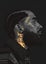 Framed $1 RESERVE 1 Panel Canvas Art Print - Nipsey Hussle Carousel 1