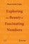 Exploring the Beauty of Fascinating Numbers by Shyam Sunder Gupta - Paperback Carousel 1