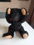 Robin Rive Black Teddy Bear Carousel 2