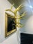 Hand carved real stag skull Carousel 3