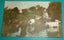 Hand Painted RPPC Cattle Crossing Ford Carousel 1