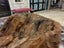 New Single Natural Brown Real NZ Possum Full Fur Throw - No Reserve! - B6596 Carousel 3