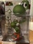 $1.00 Reserve. Amiibo Bulk lot, Brand New, Selaed Carousel 4