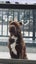 SHAPEI/STAFFY PUPPIES Carousel 10