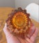 Mid Century Murano / Japanese Art Glass Vase & Bowl Carousel 7