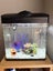 Aquarium 135 litre All Pet Aqua +7 tropical fish Carousel 1
