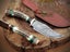 Hand Made Damascus Steel With Stag Horn Wood Handle Collector Knife RRP 400$. Carousel 1