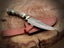 Hand Made Damascus Steel With Stag Horn Wood Handle Collector Knife RRP 400$. Carousel 2