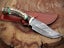 Hand Made Damascus Steel With Stag Horn Wood Handle Collector Knife RRP 400$. Carousel 7