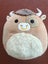 Squishmellow Carousel 1