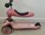 Scoot and Ride Highwaykick1 - Rose Carousel 3
