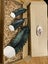 Loading Image 1 of 3
